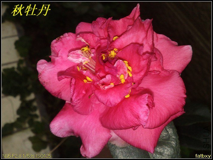 09��ĵ��1.jpg
