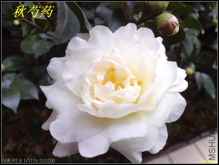09����ҩ.jpg