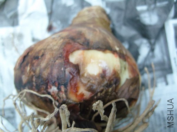 �춥�������õ���ߣ�