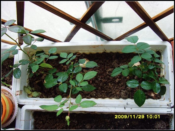 ����л����ˣ�Ʒ���Ǻ�õ���ˮ����