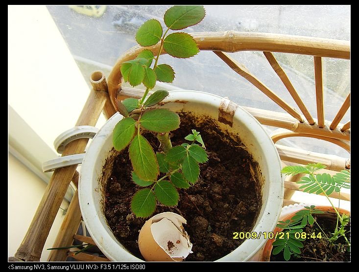 �����Ȼ������������������ޣ���Ϊ��������û����