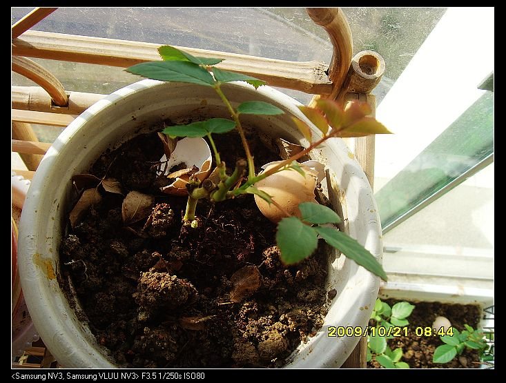 ����ǻ����͵ģ�Ҳֹͣ������