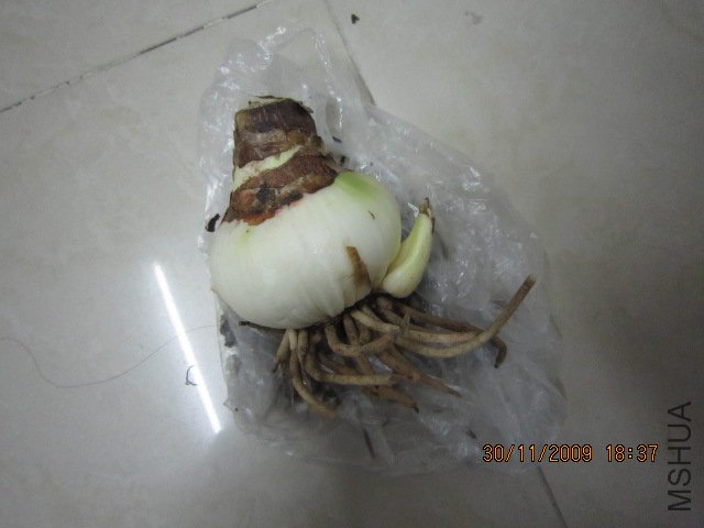 C47���˸�С��