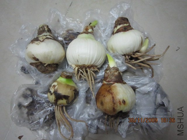 ������C68��С