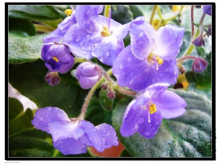 ��Ȼ�Ӳ������ϵ��ջ�