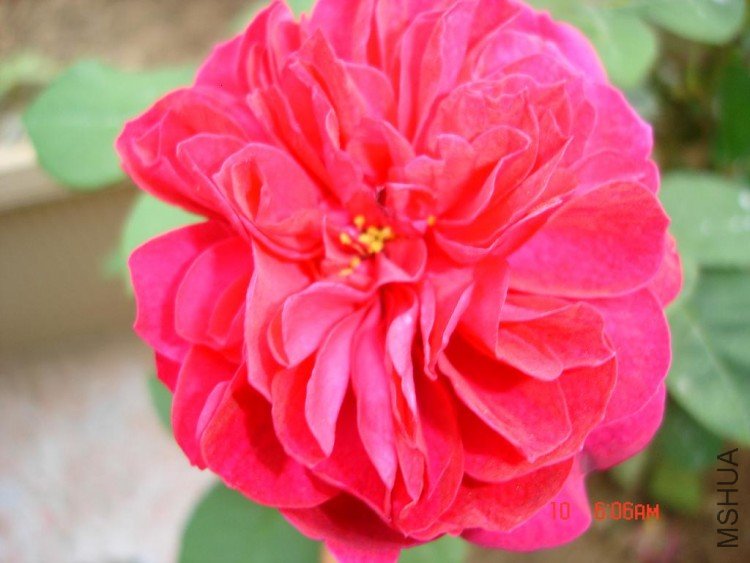 ��Ƭ09416 084.jpg