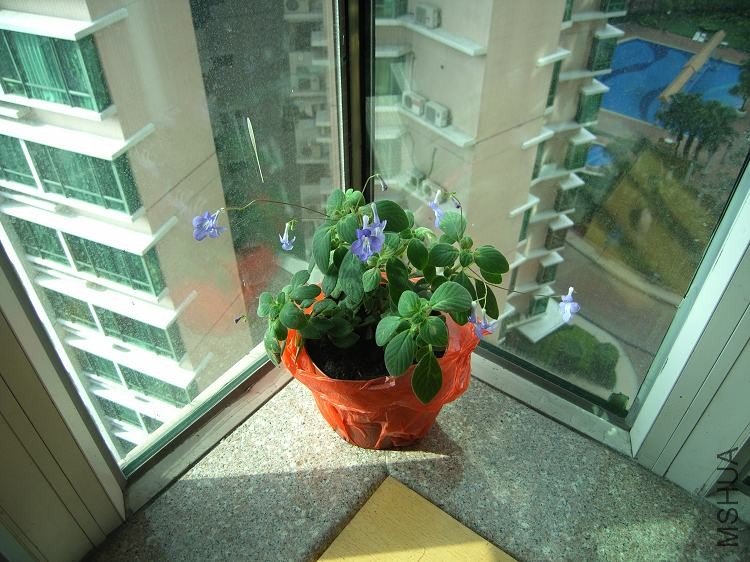 RIMG0218.JPG