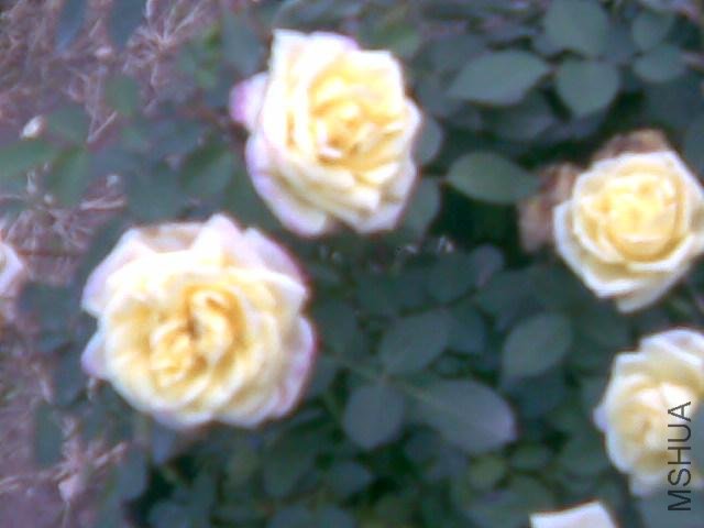 һ�꿪�ܴ�