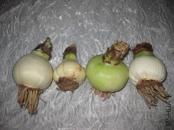 �Ѿ��ѵĹ����죬����