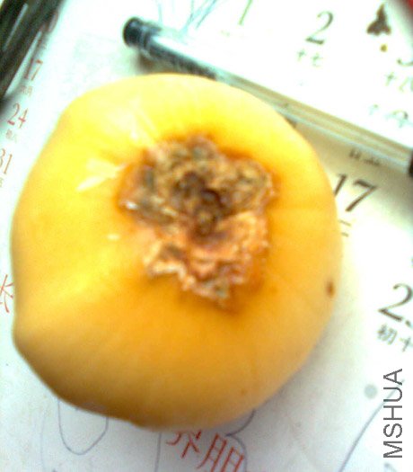 ͷ����ù�顣