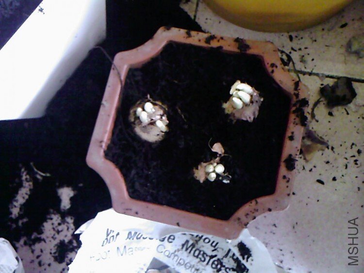��Ƭ-0791.jpg