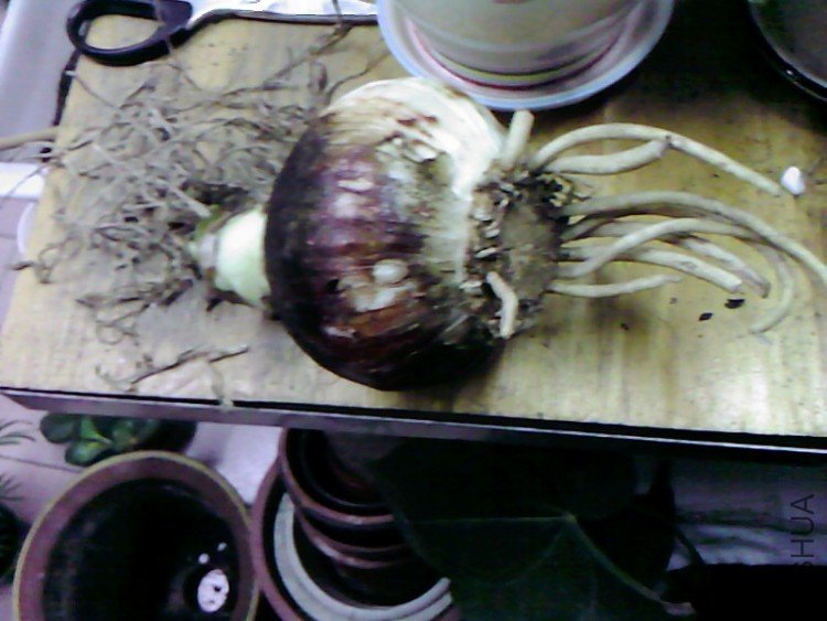 ��Ƭ-0785.jpg