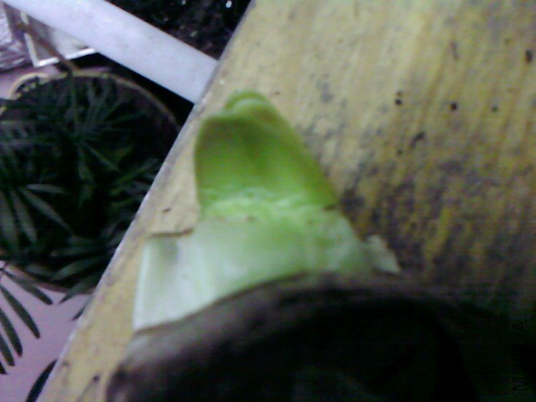 ��Ƭ-0783.jpg