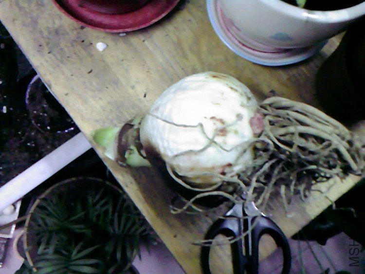 ��Ƭ-0784.jpg