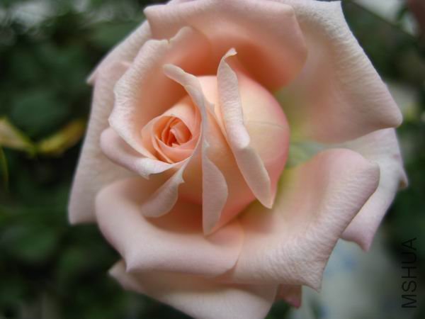 ������С ���� 076.jpg