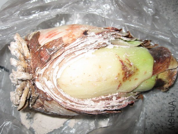 ��Ƭ 040_��С��С.jpg