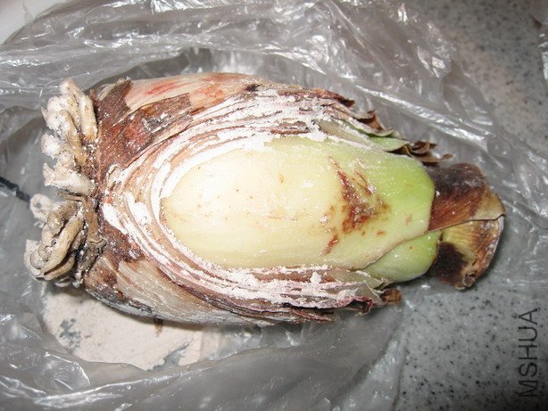 ��Ƭ 041_��С��С.jpg