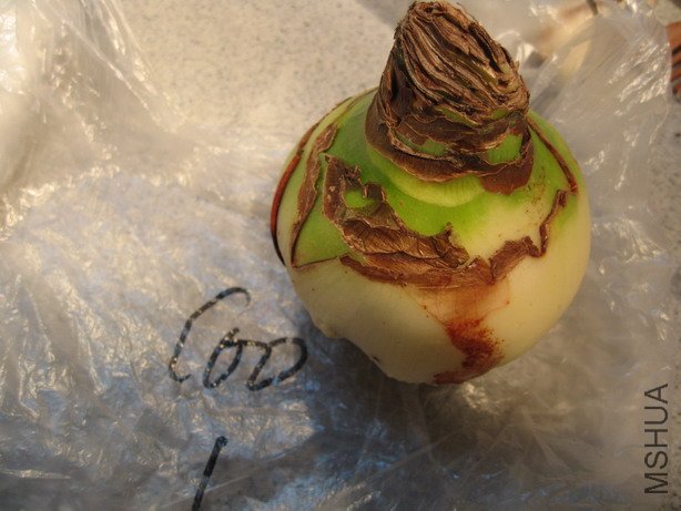 ��Ƭ 043_��С��С.jpg