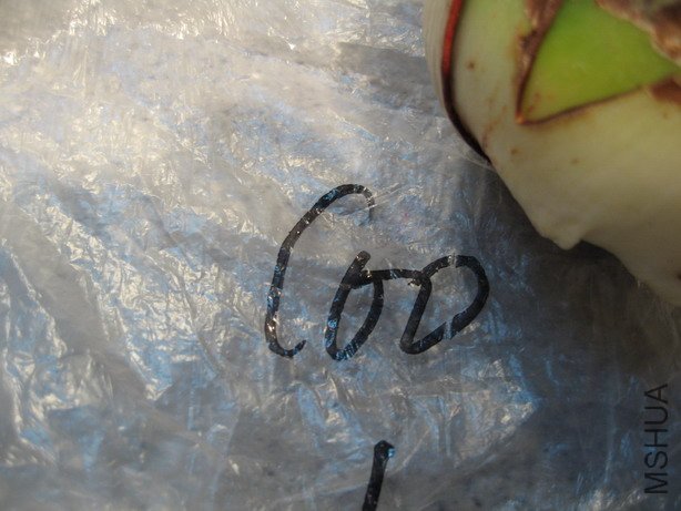 ��Ƭ 044_��С��С.jpg