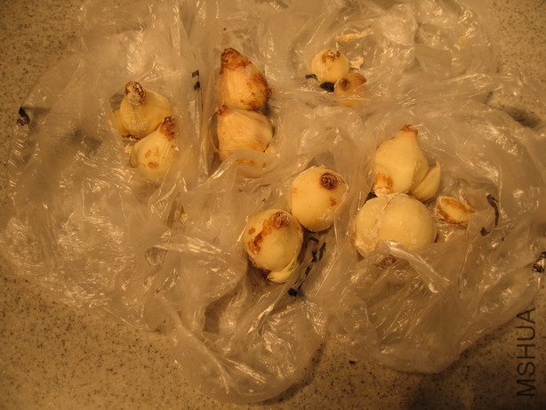 ��Ƭ 046_��С��С.jpg