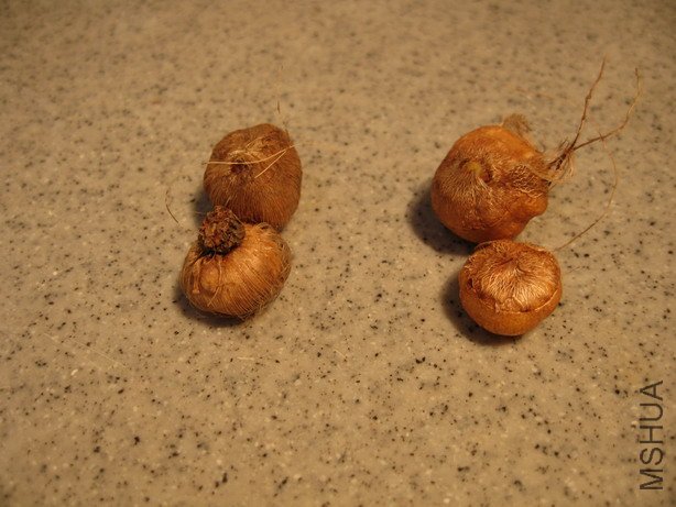 ��Ƭ 049_��С��С.jpg