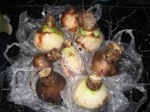 ��Ƭ 035_��С��С.jpg