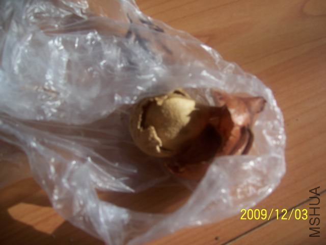 ������С ��Ƭ 010.jpg