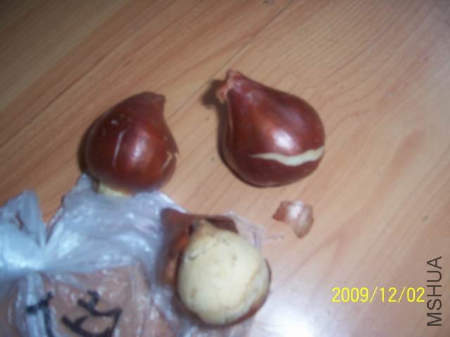 ������С ��Ƭ 001.jpg