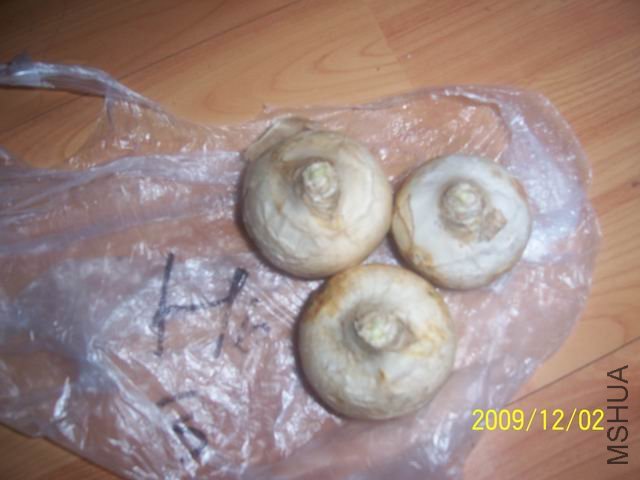 ������С ��Ƭ 006.jpg