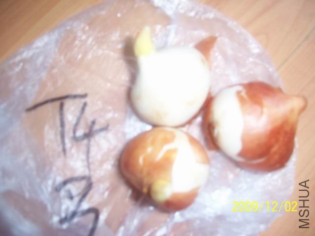 ������С ��Ƭ 007.jpg