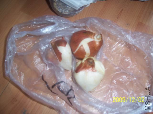 ������С ��Ƭ 002.jpg