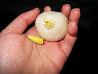 ��ѿ,���ǲ�ѿ...