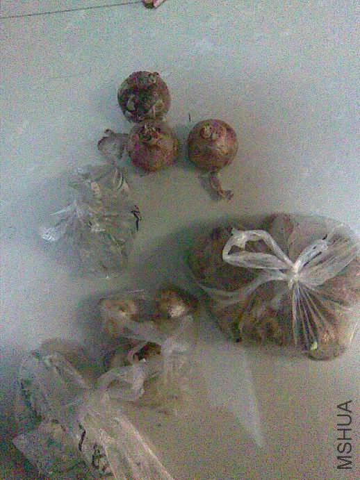 ������С ͼ��027.jpg