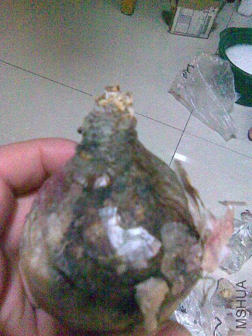 ������С ͼ��030.jpg