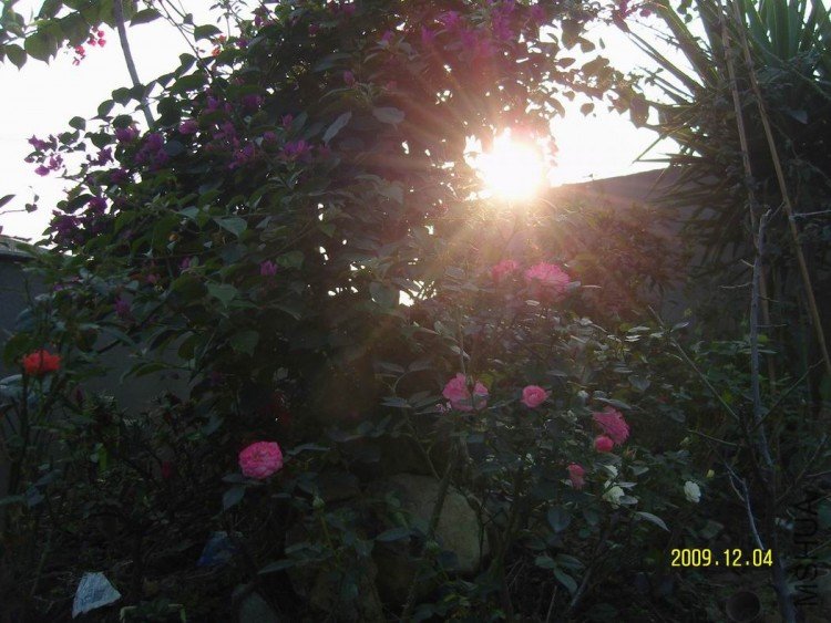 SNV84070.jpg