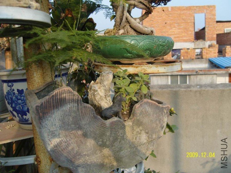 SNV84049.jpg