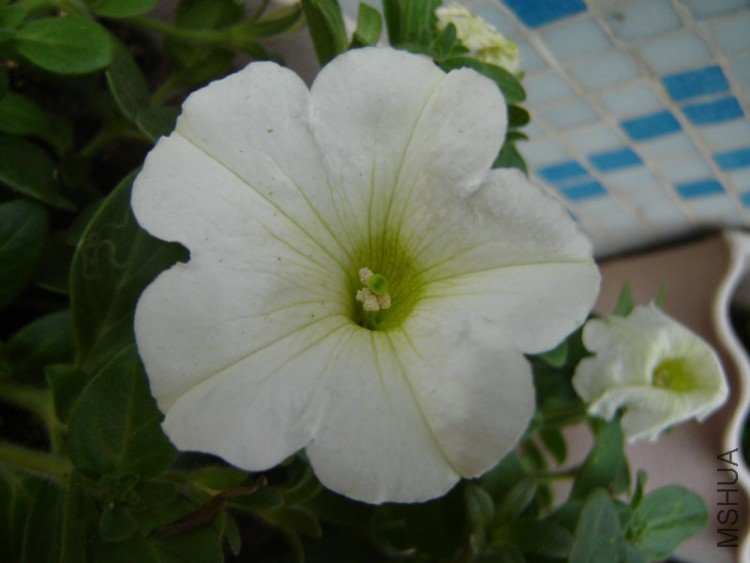 DSC06508.JPG