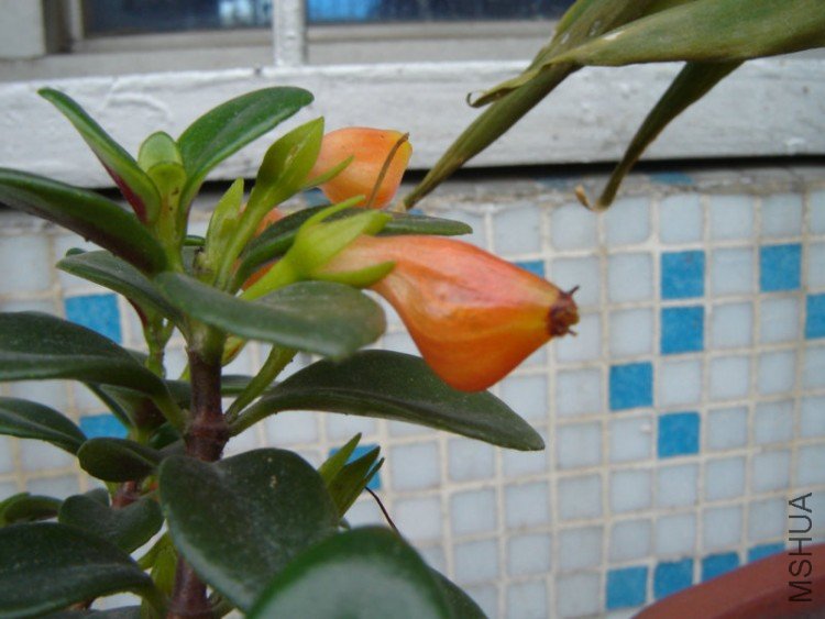 DSC06484.JPG
