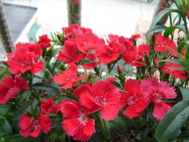 DSC06401.JPG