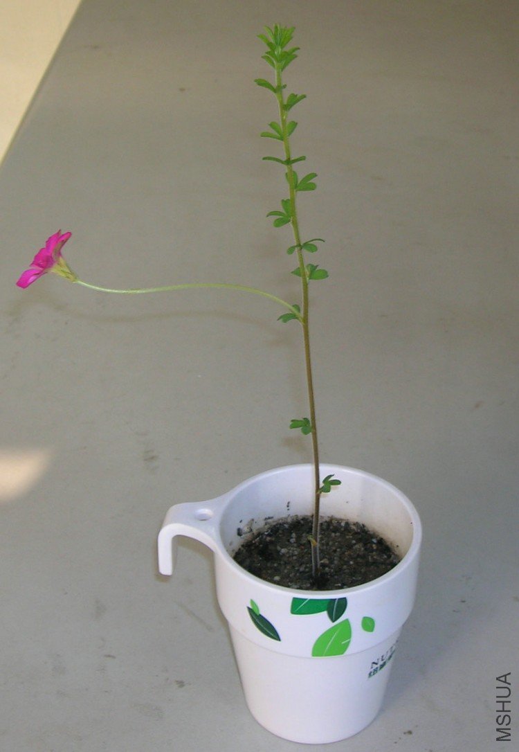 DSCN1707.JPG