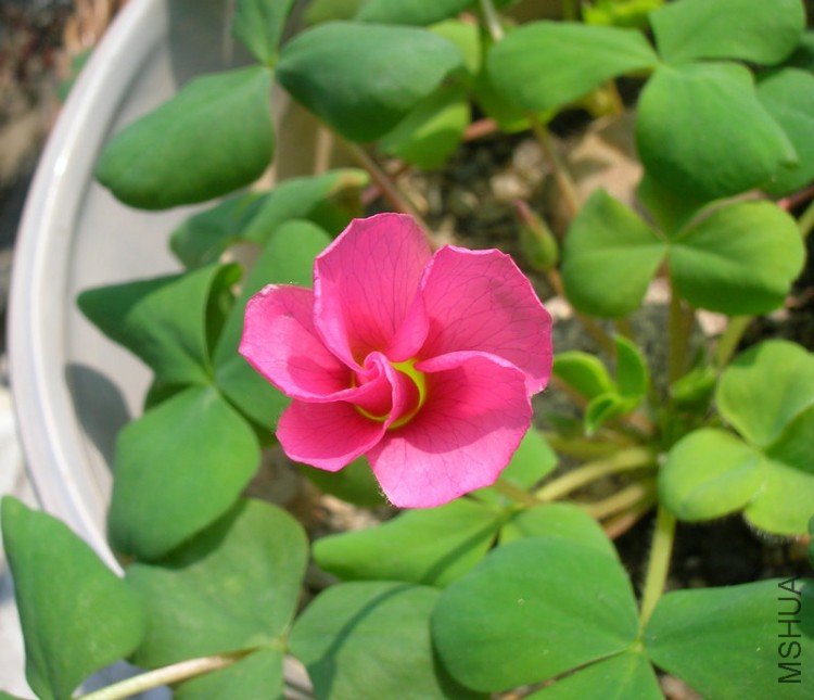 DSCN1696.JPG