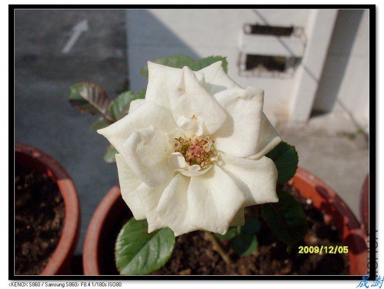 SDC12736_nEO_IMG.jpg