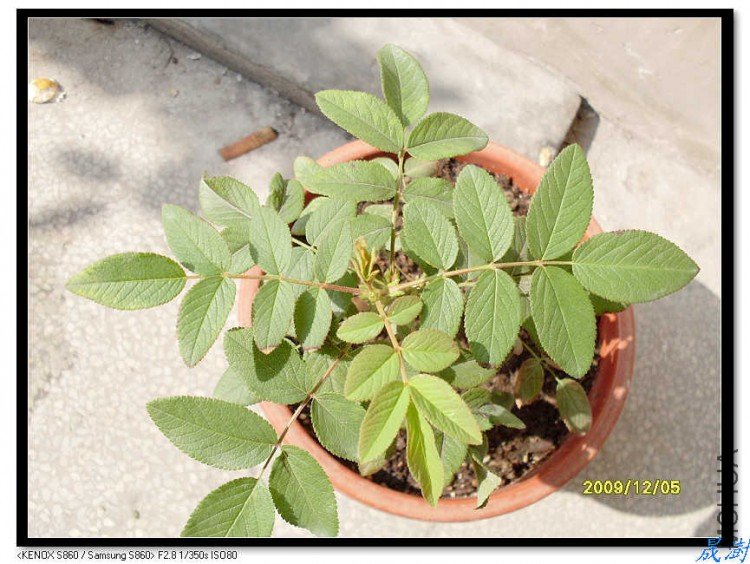 SDC12731_nEO_IMG.jpg