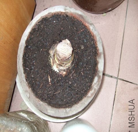 DSCF3121.JPG