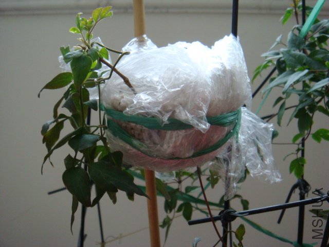 �ٴθ�ѹ�Ļ���