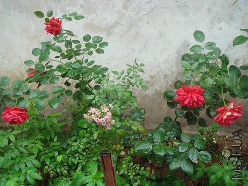 DSC04300.JPG