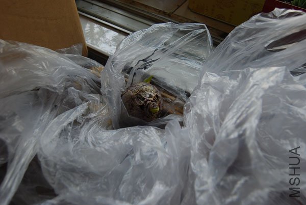 ��Ƭ 053����a.jpg