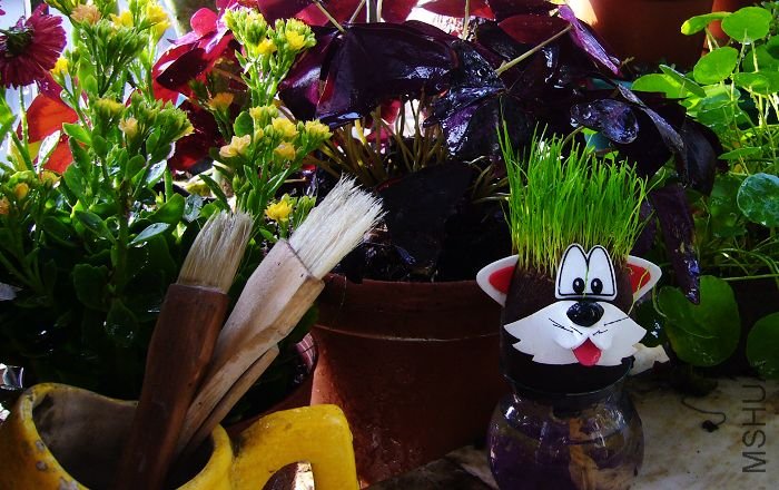 �����ˢ�ӣ���ϧ����ʦ��С���ղ��ѡ�