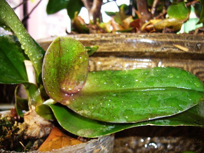 �������·��Ĵ�ѿѿ