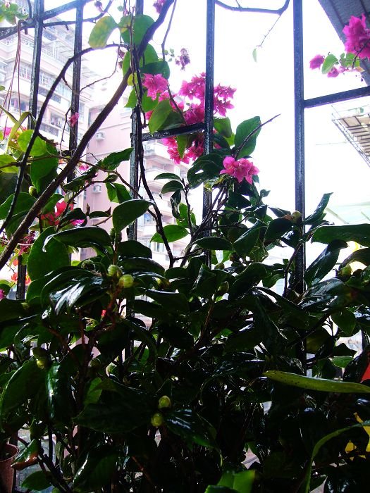 ����50������